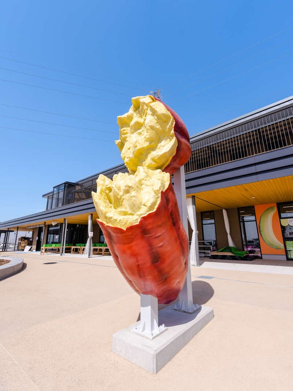 【埼玉県内発】 まるっと茨城いただきます! 期間限定パフェ「茨城県産そのまんまメロン」 メロン推しな道の駅&茨城県産ローズポーク陶板焼き3